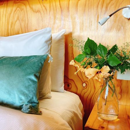 Mister C Bed & Breakfast ฮาร์ทบีสบูร์ท ภายนอก รูปภาพ