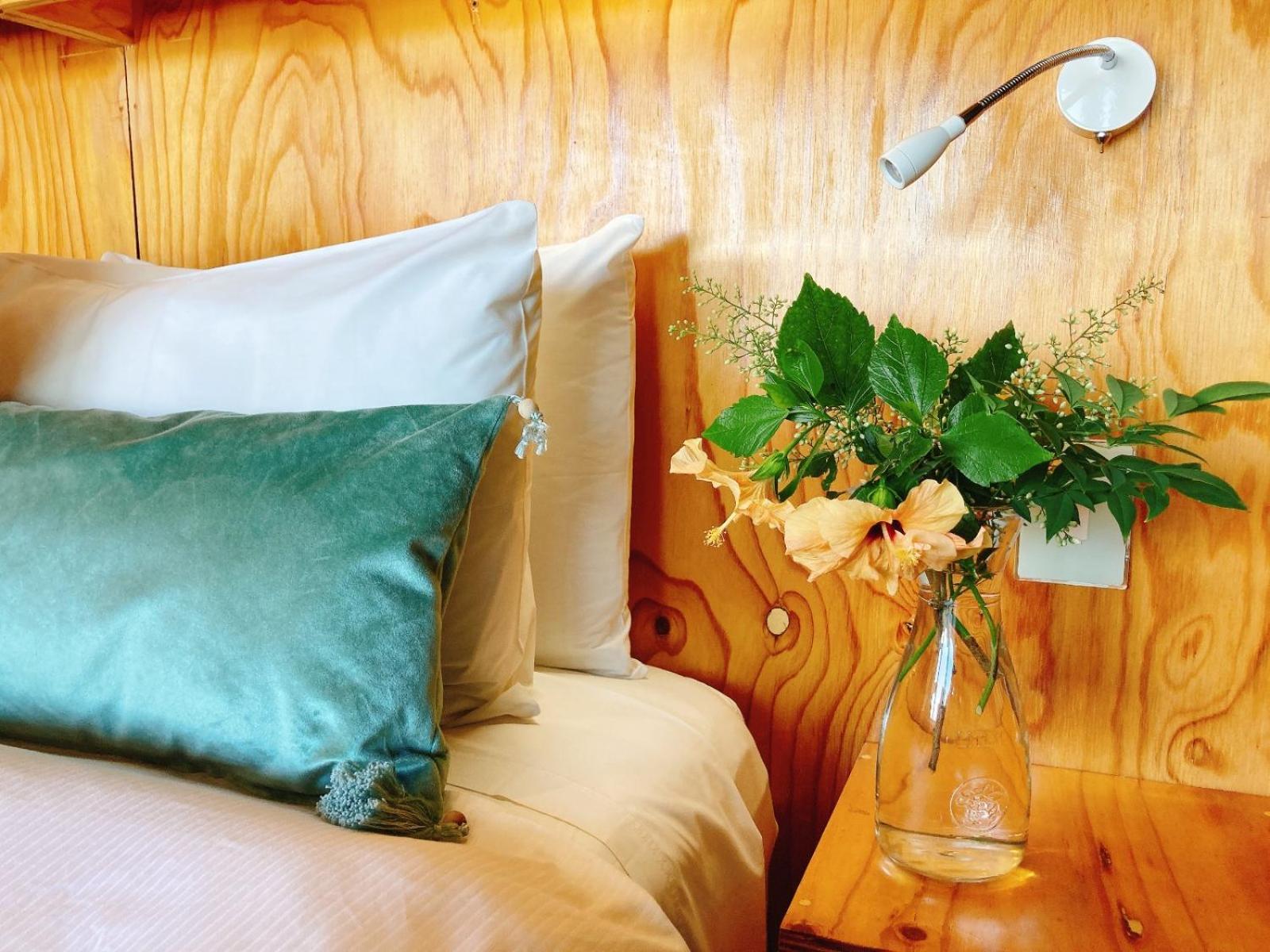 Mister C Bed & Breakfast ฮาร์ทบีสบูร์ท ภายนอก รูปภาพ
